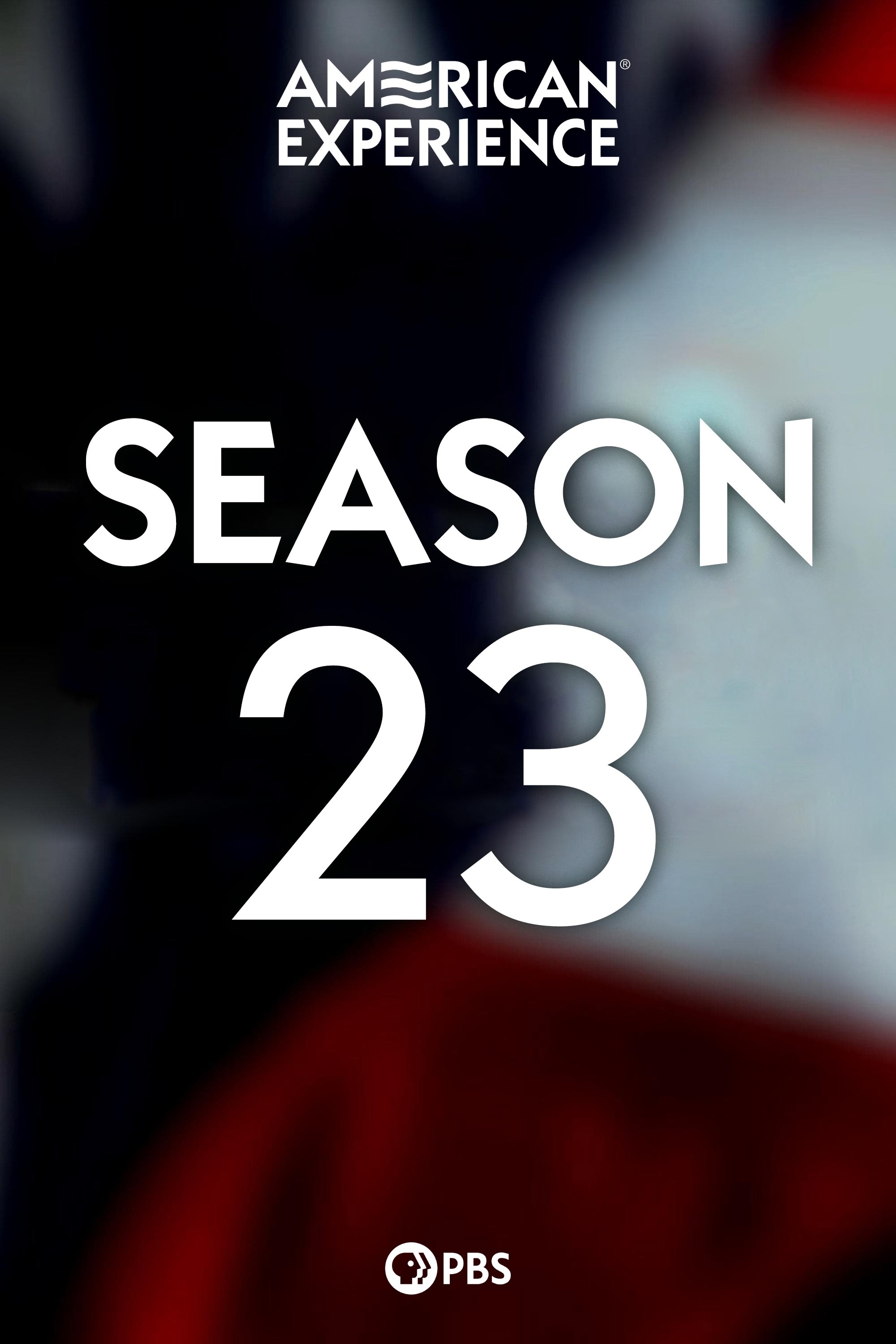 Poster de Temporada 23
