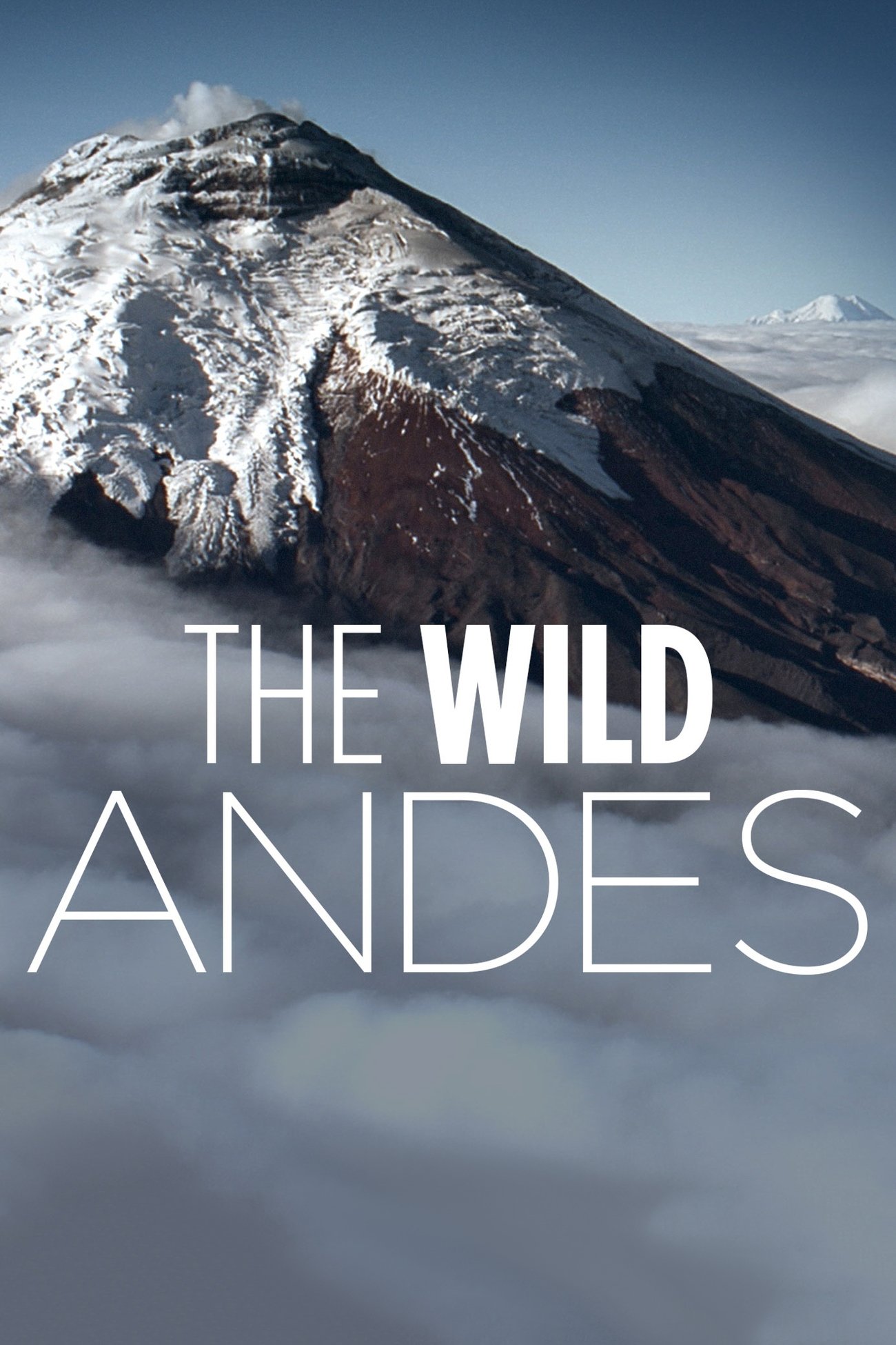 Poster de The Wild Andes