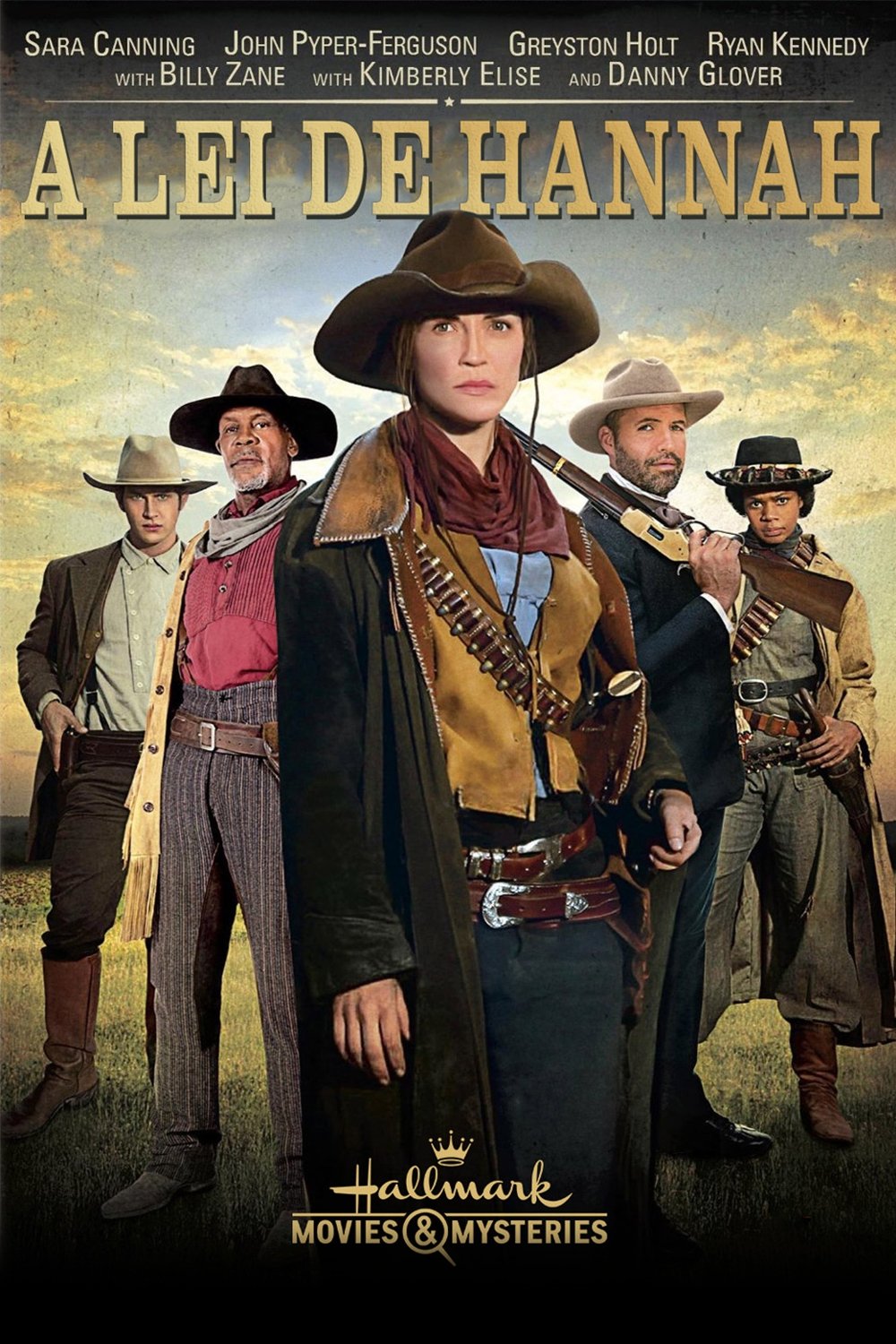 Poster de A Lei de Hannah