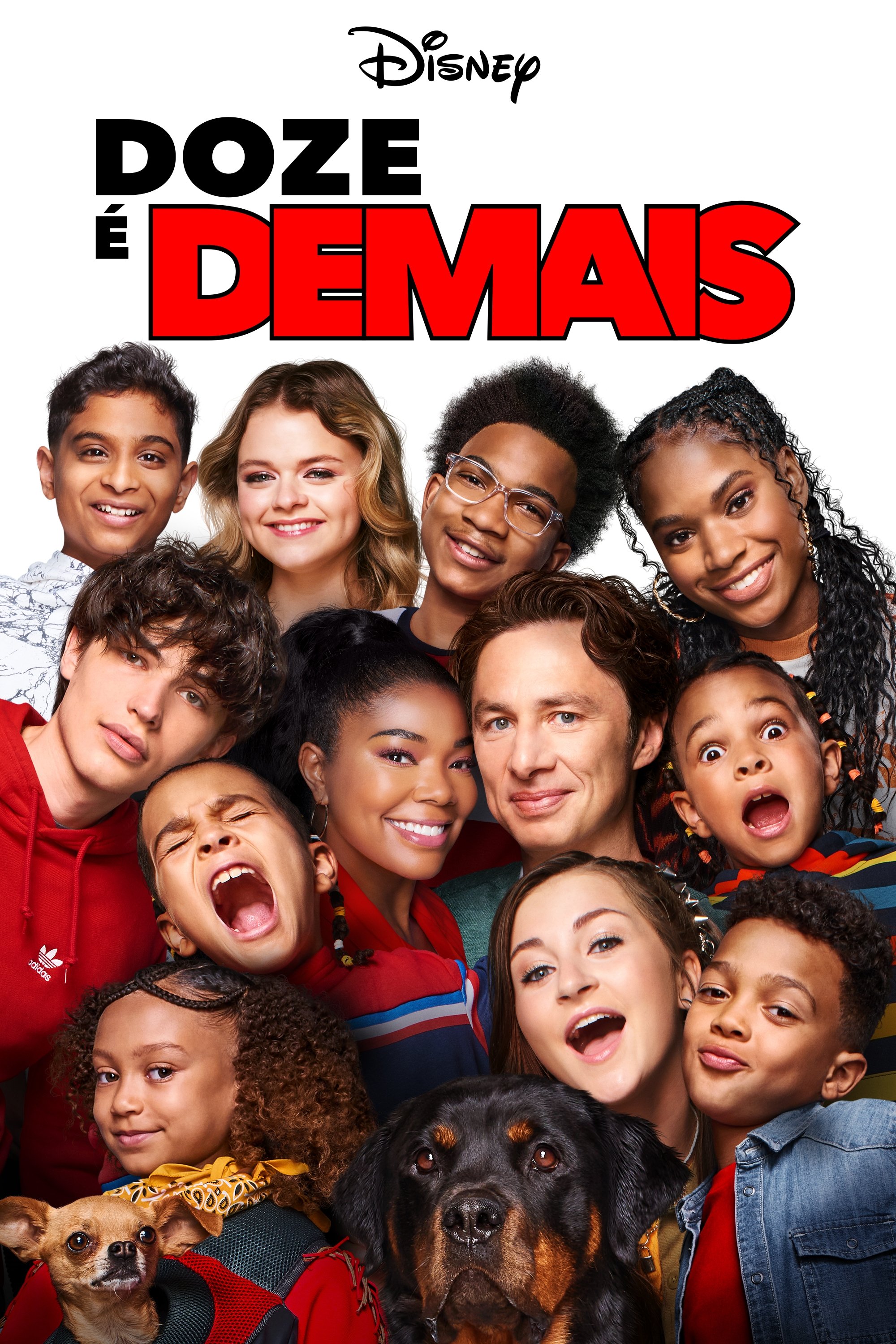 Poster de Doze é Demais