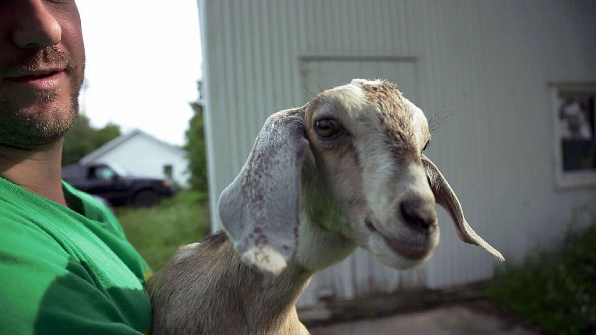 Door County Creamery | Door County Brewery