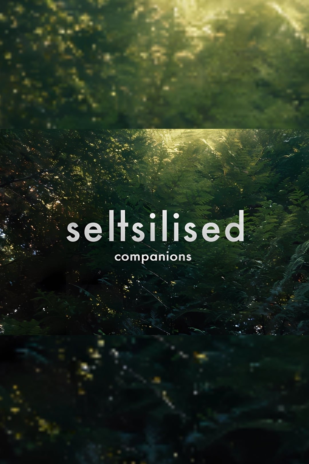 Poster de Seltsilised