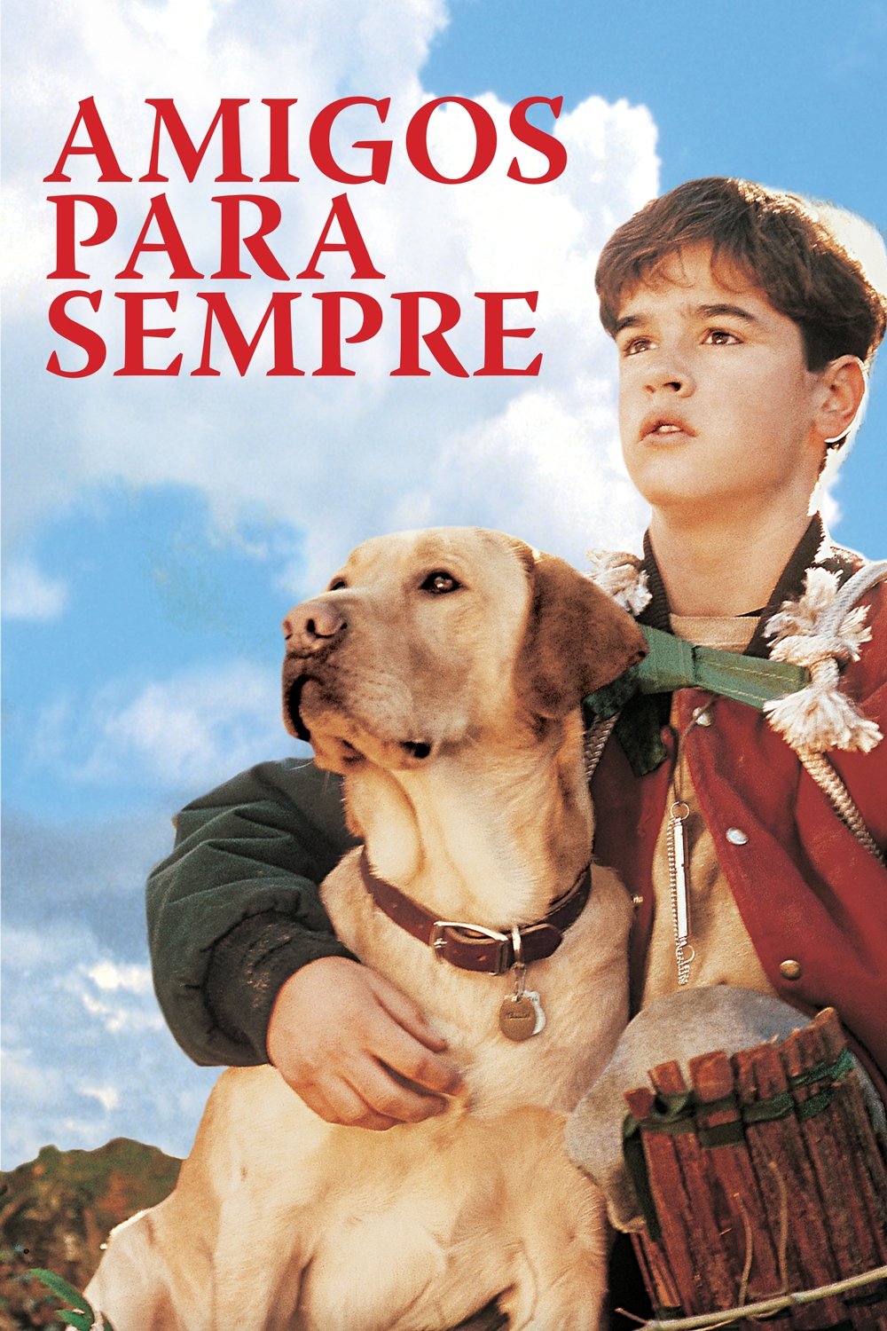 Poster de Amigos para Sempre
