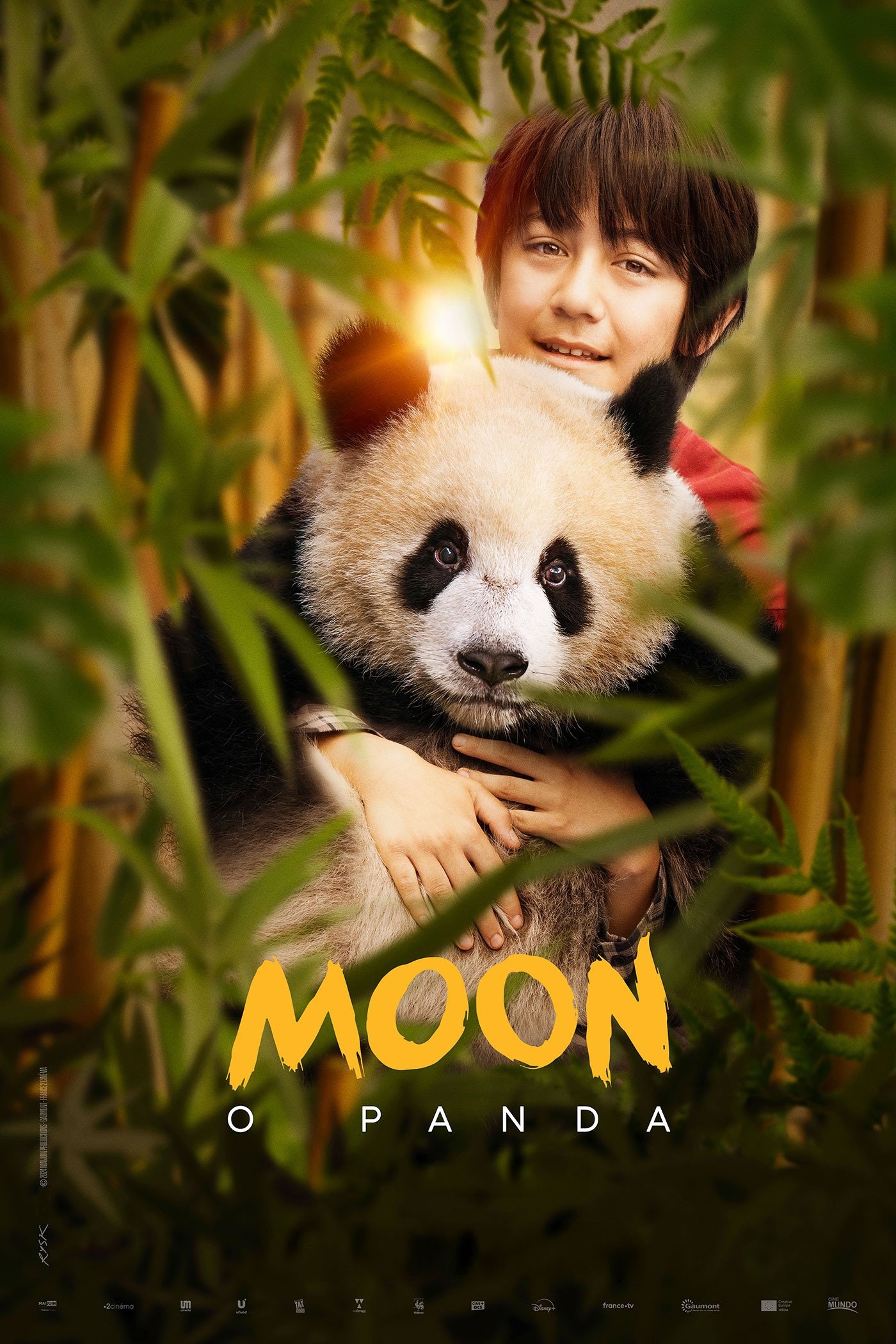 Poster de Moon le Panda