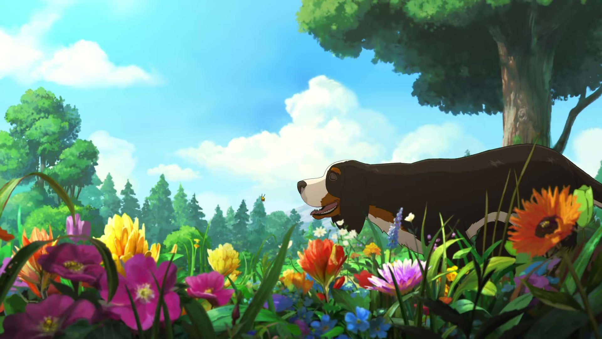 Backdrop image