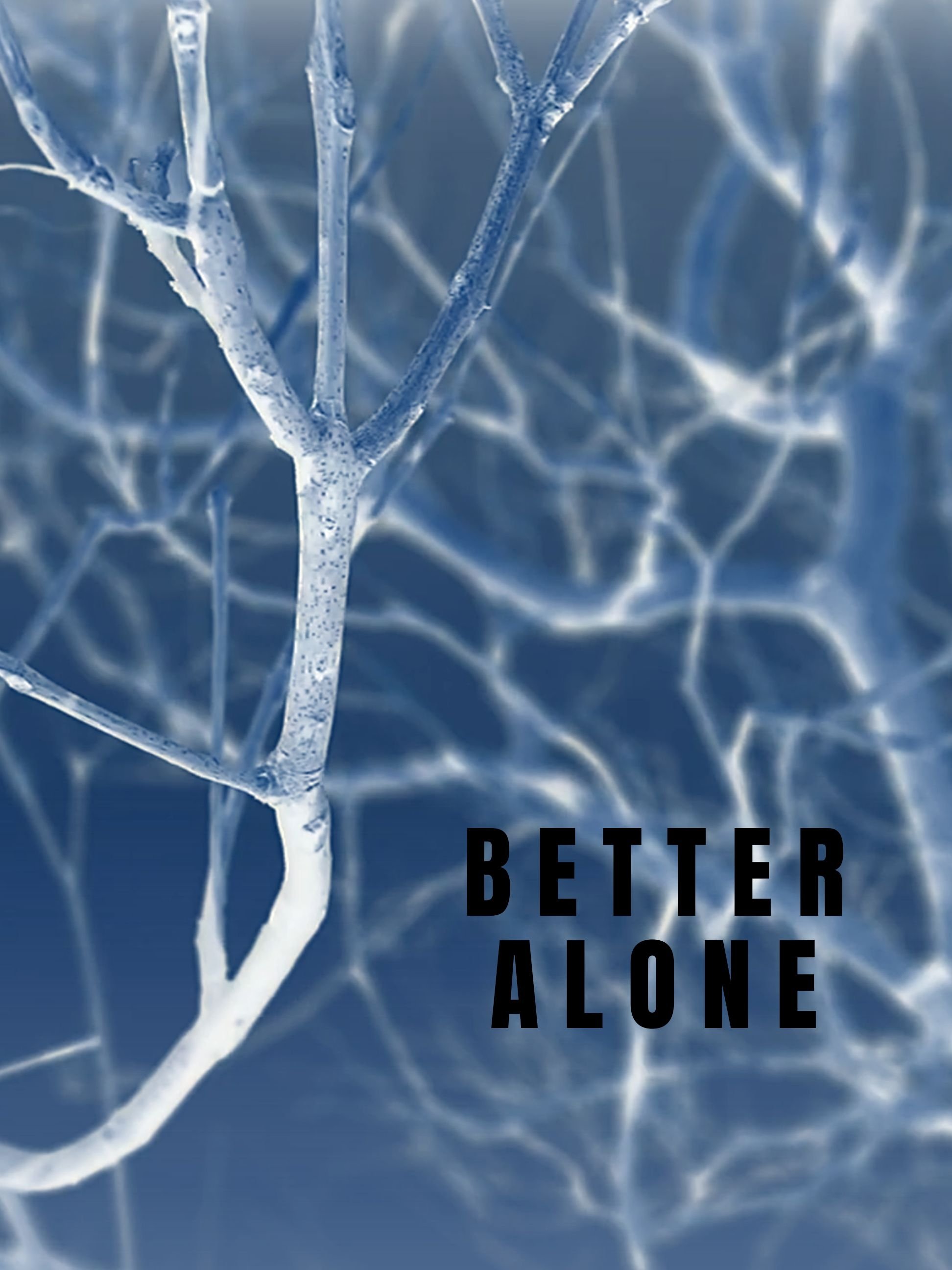Poster de Better Alone