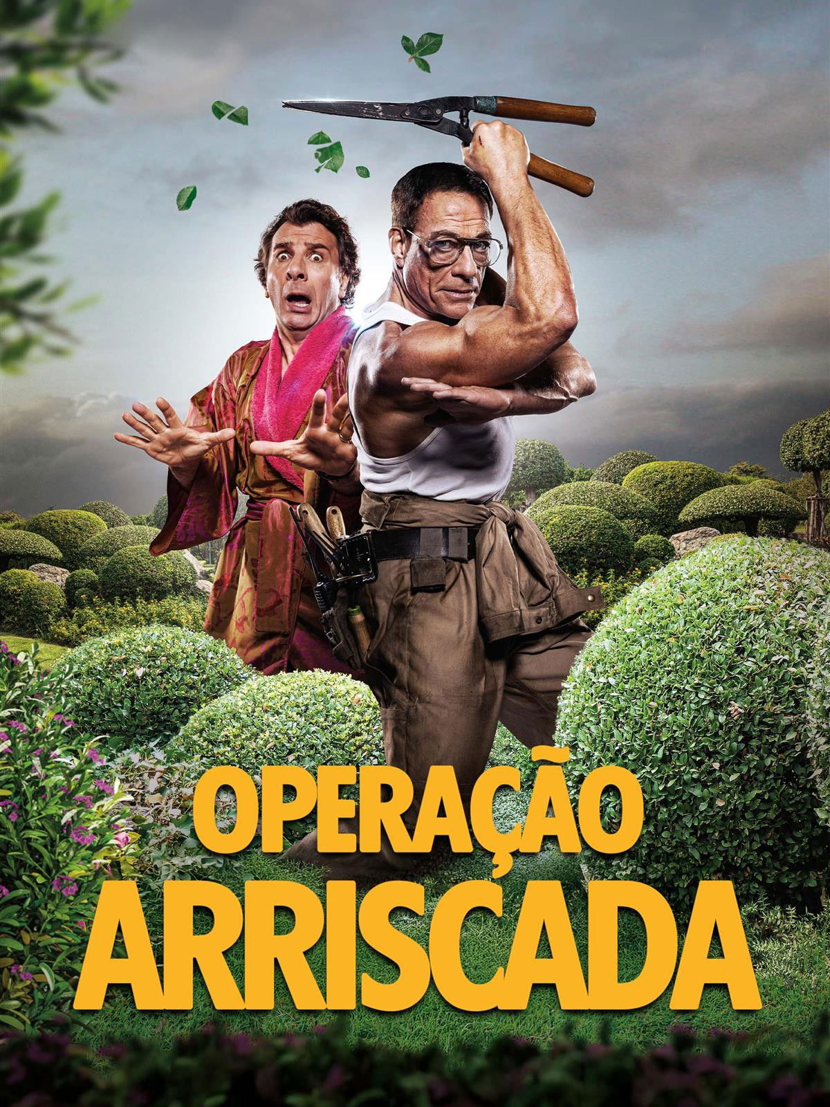 Poster de Operação Arriscada
