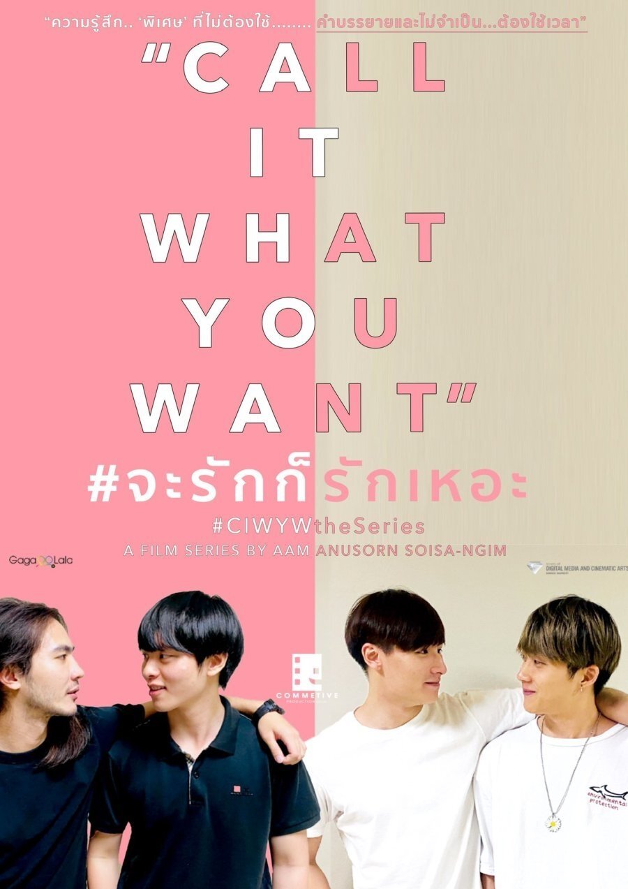 Poster de Call It What You Want