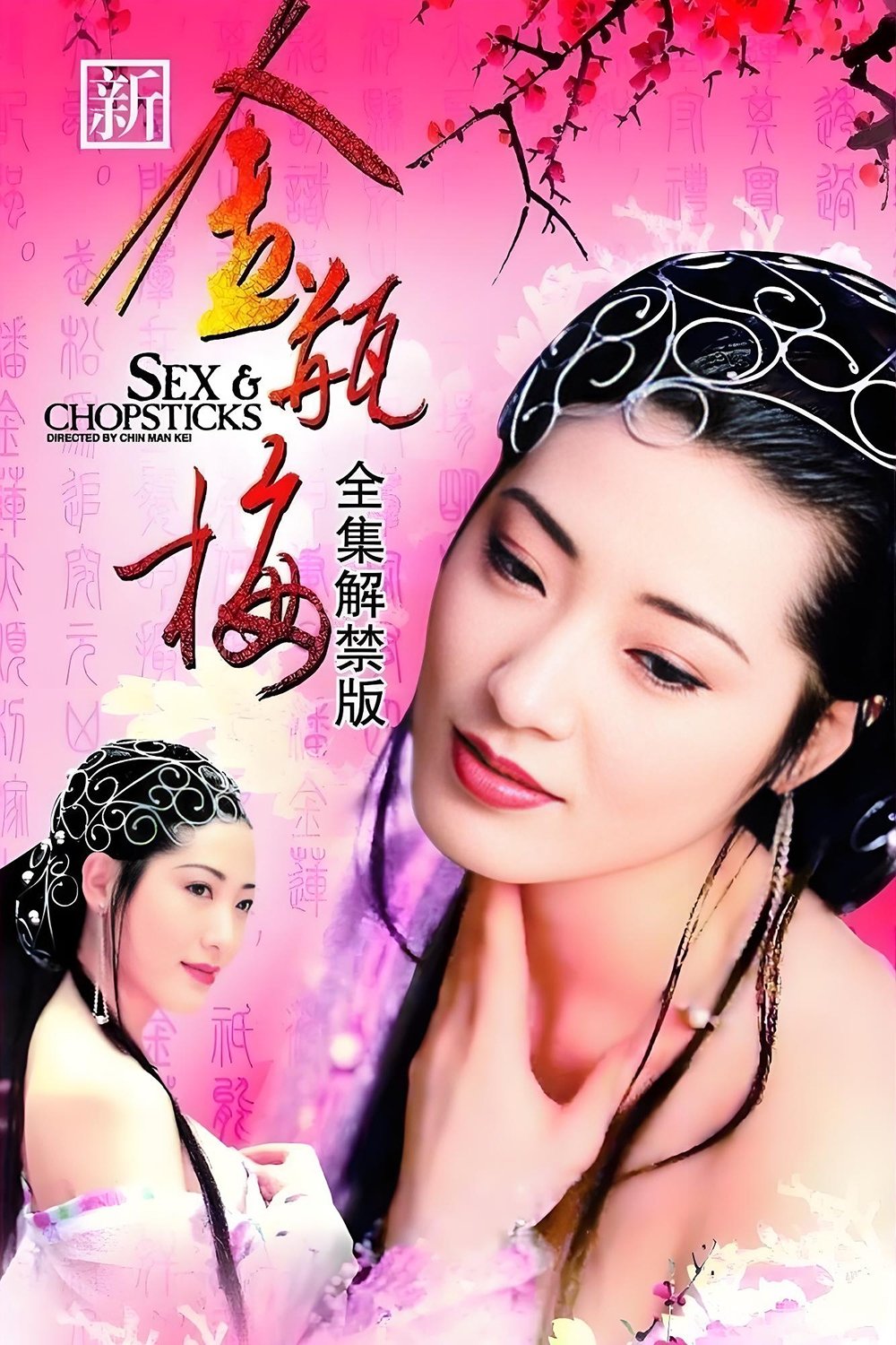 Poster de 新金瓶梅