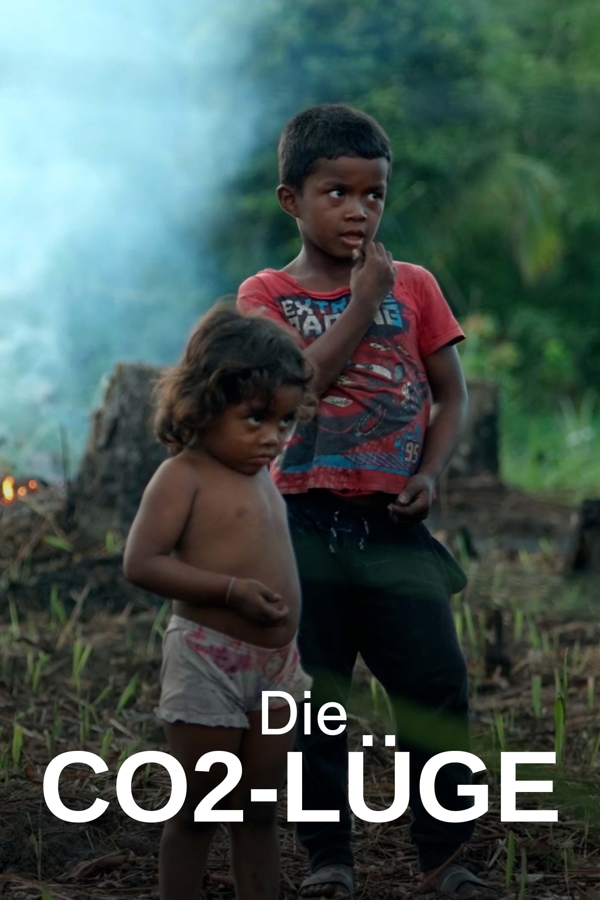Poster de Die CO2-Lüge