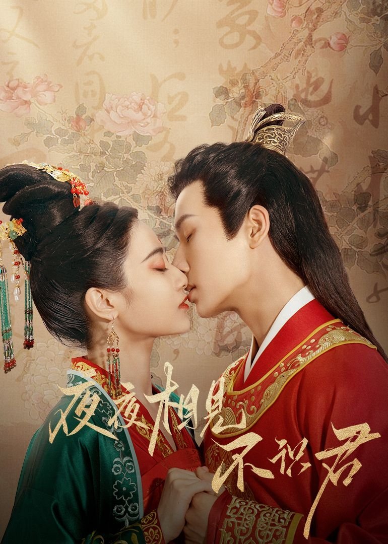 Poster de 夜夜相见不识君