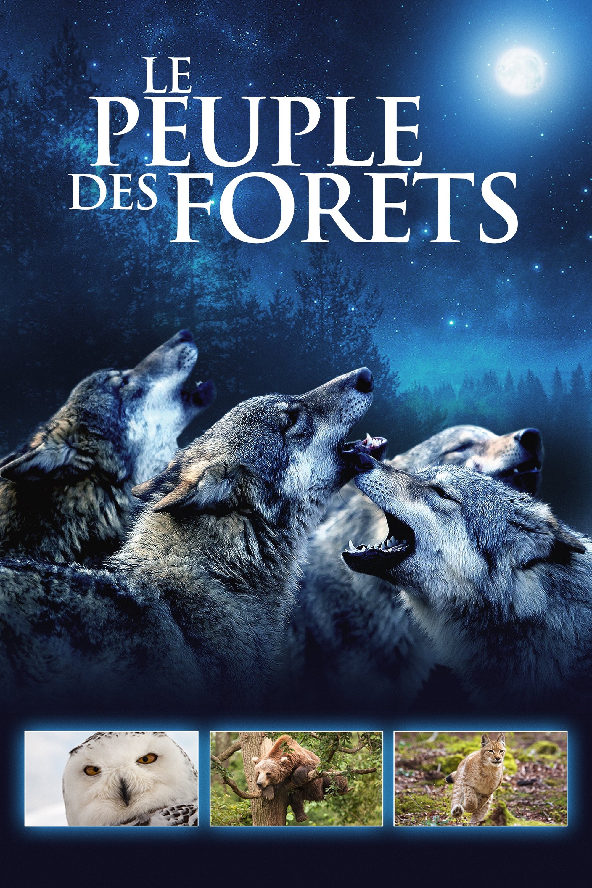 Poster de Le Peuple des forêts