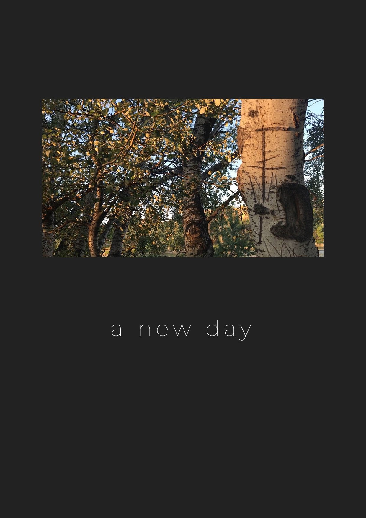 Poster de A New Day
