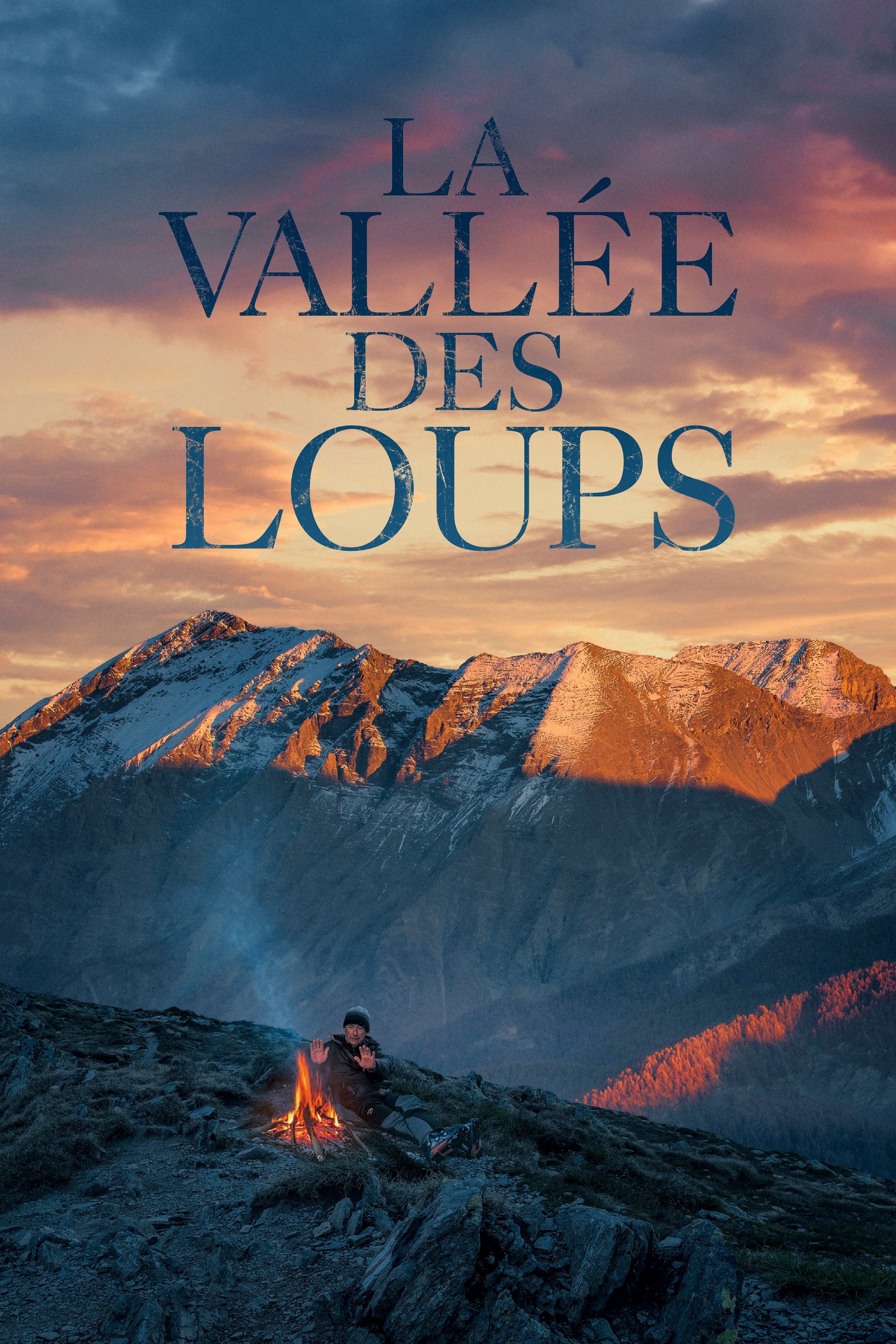 Poster de La vallée des loups