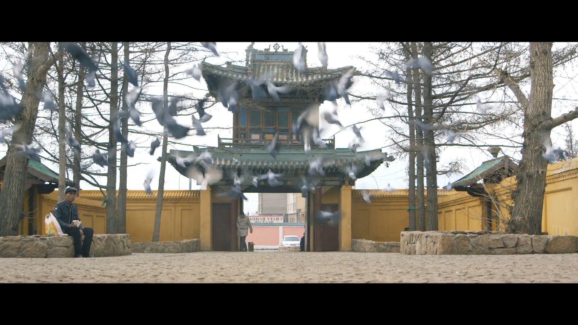 backdrops