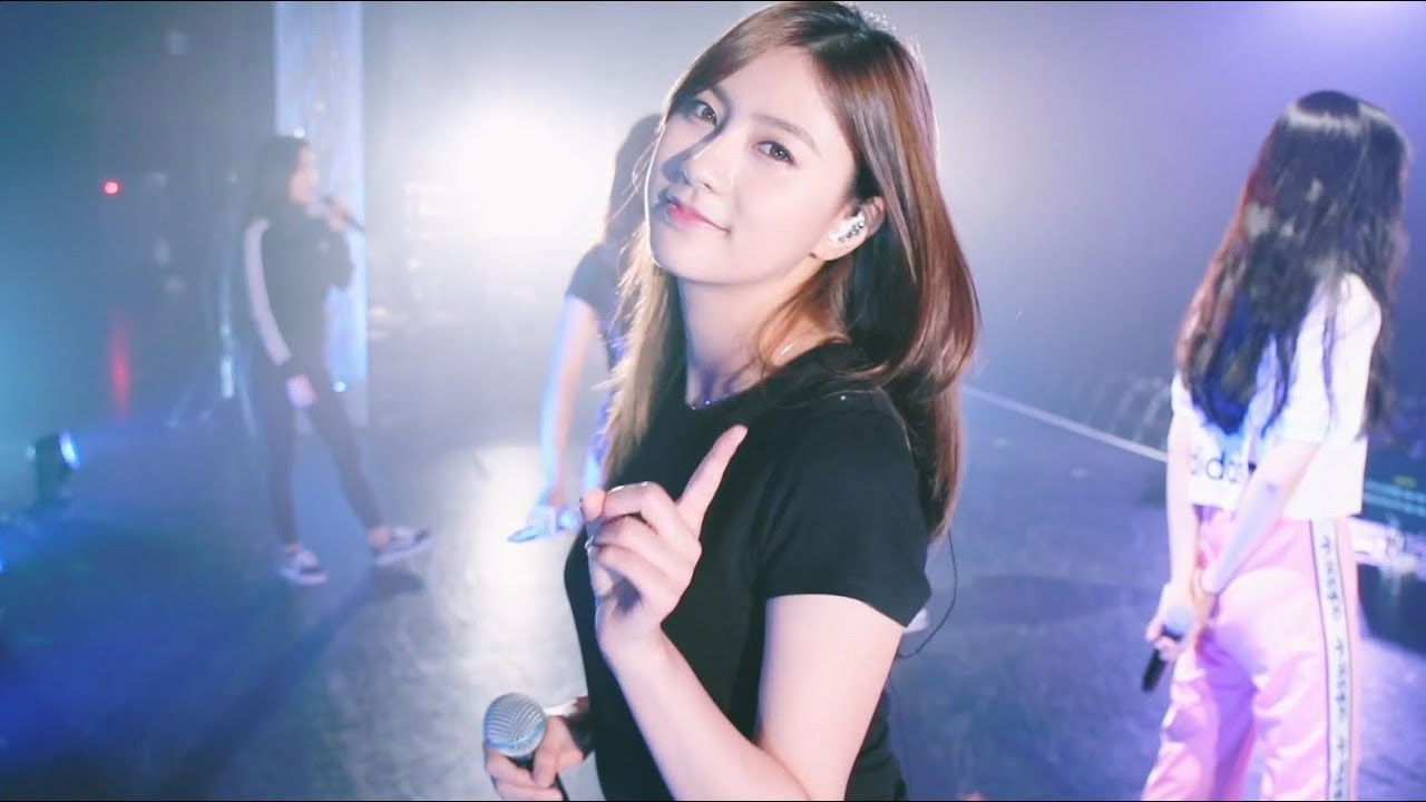 Apink Fanmeeting in Japan