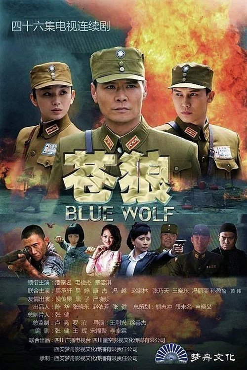 Poster de 苍狼