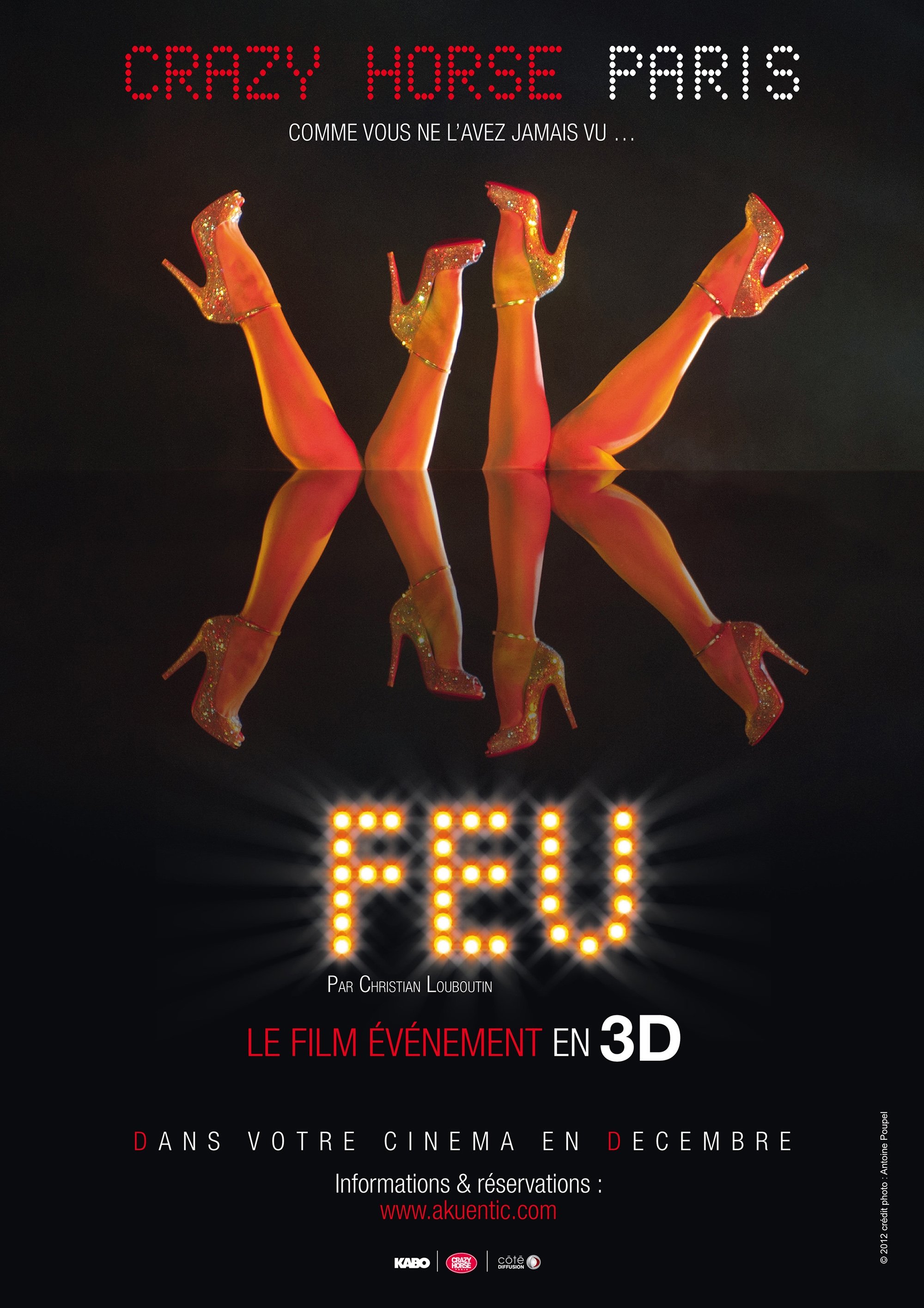 Affiche du film Feu: Crazy Horse Paris