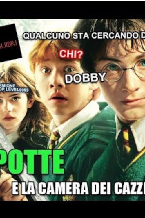 Poster de ERRIPOTTE E LA CAMERA DEI CA**IDELL'ALTRI