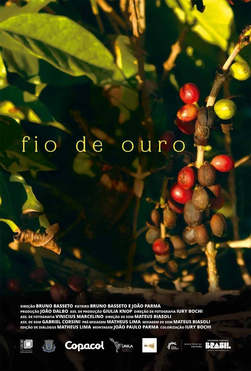 Poster de Fio de Ouro