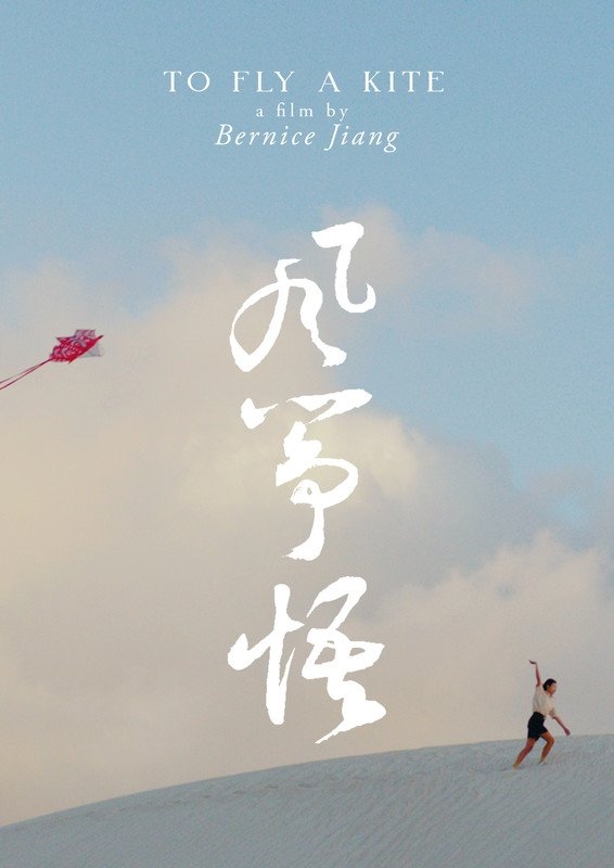 Poster de To Fly a Kite