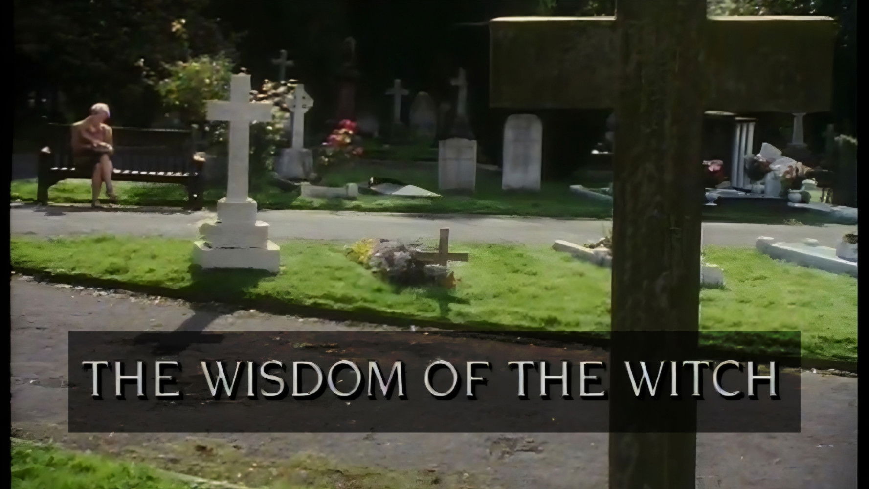 The Wisdom of the Witch