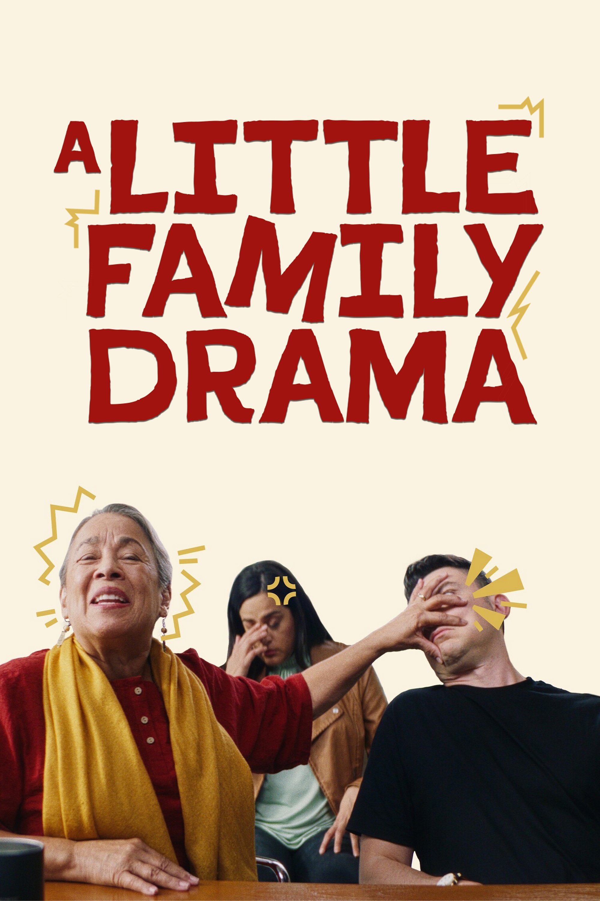 Poster de Um Pequeno Drama Familiar
