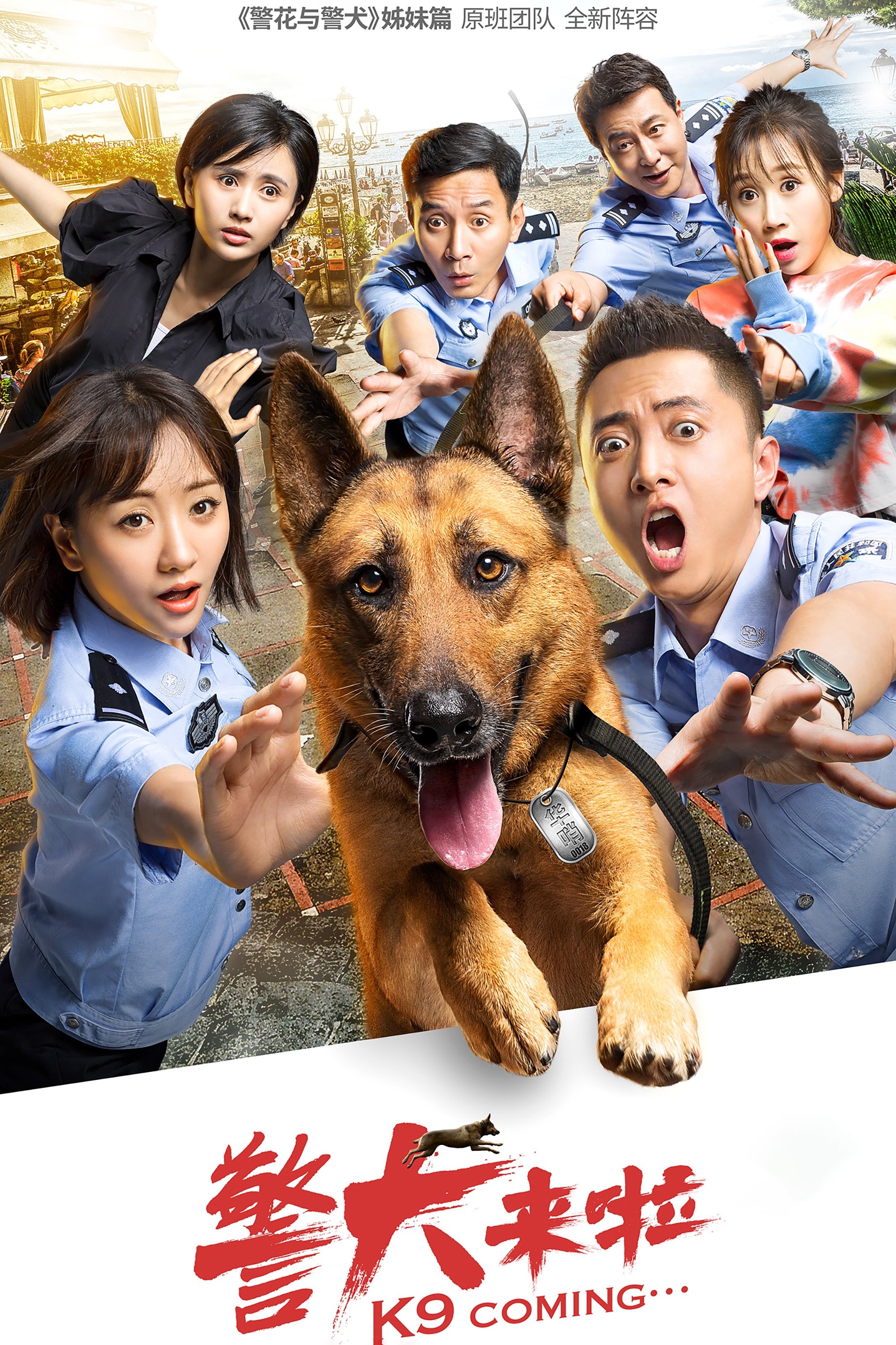 Poster de 警犬来了