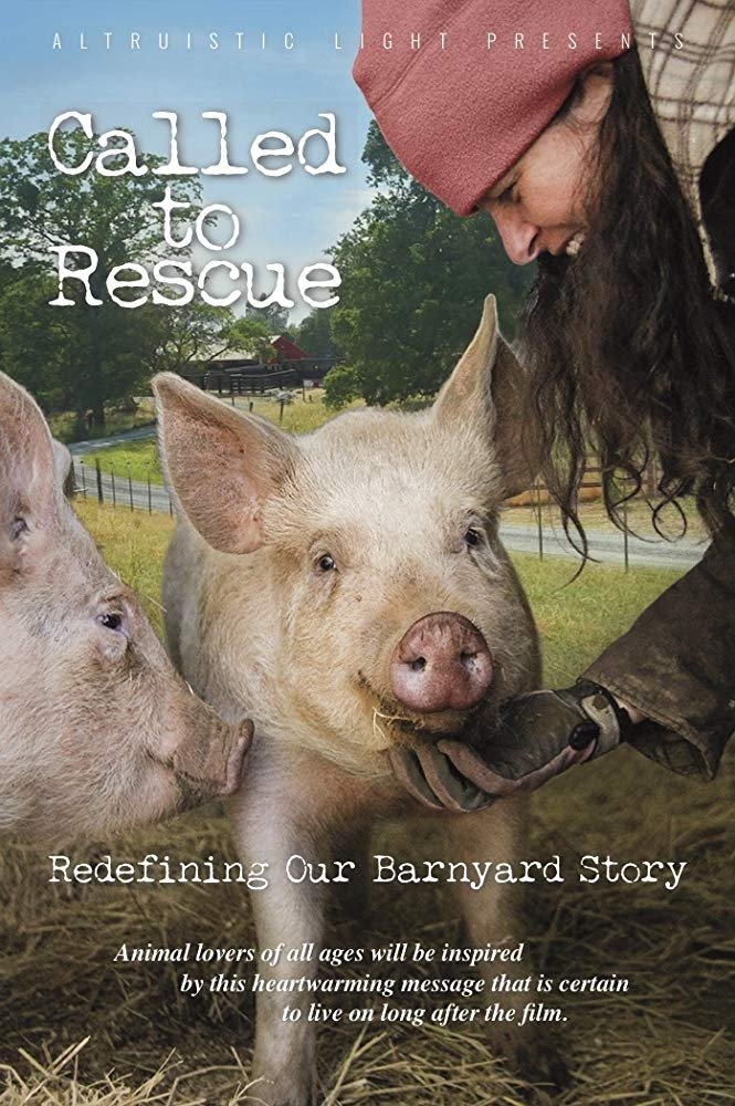 Poster de Called to Rescue
