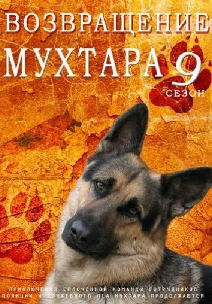 Poster de Temporada 9