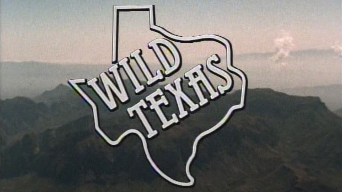 Wild Texas