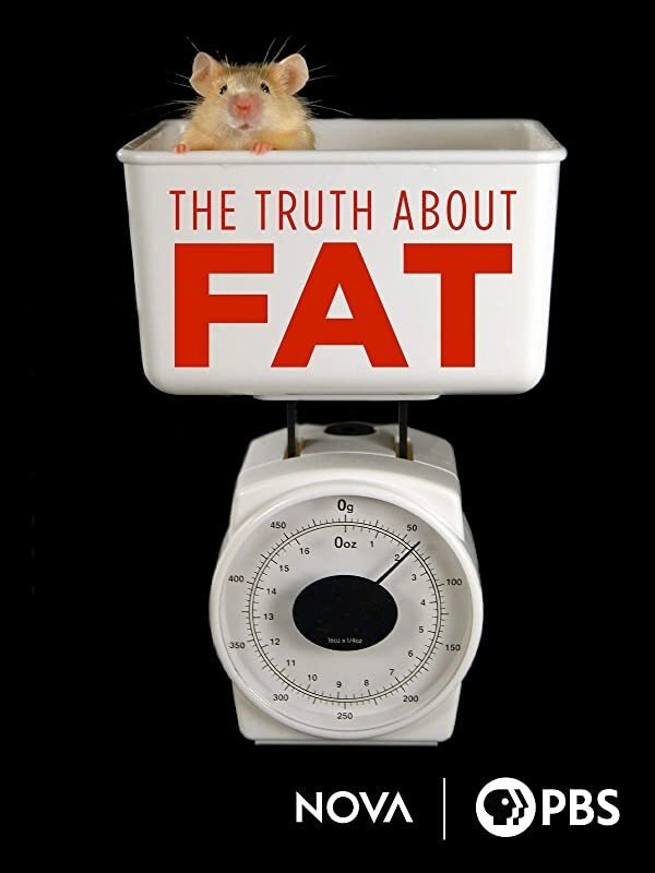 Poster de The Truth About Fat