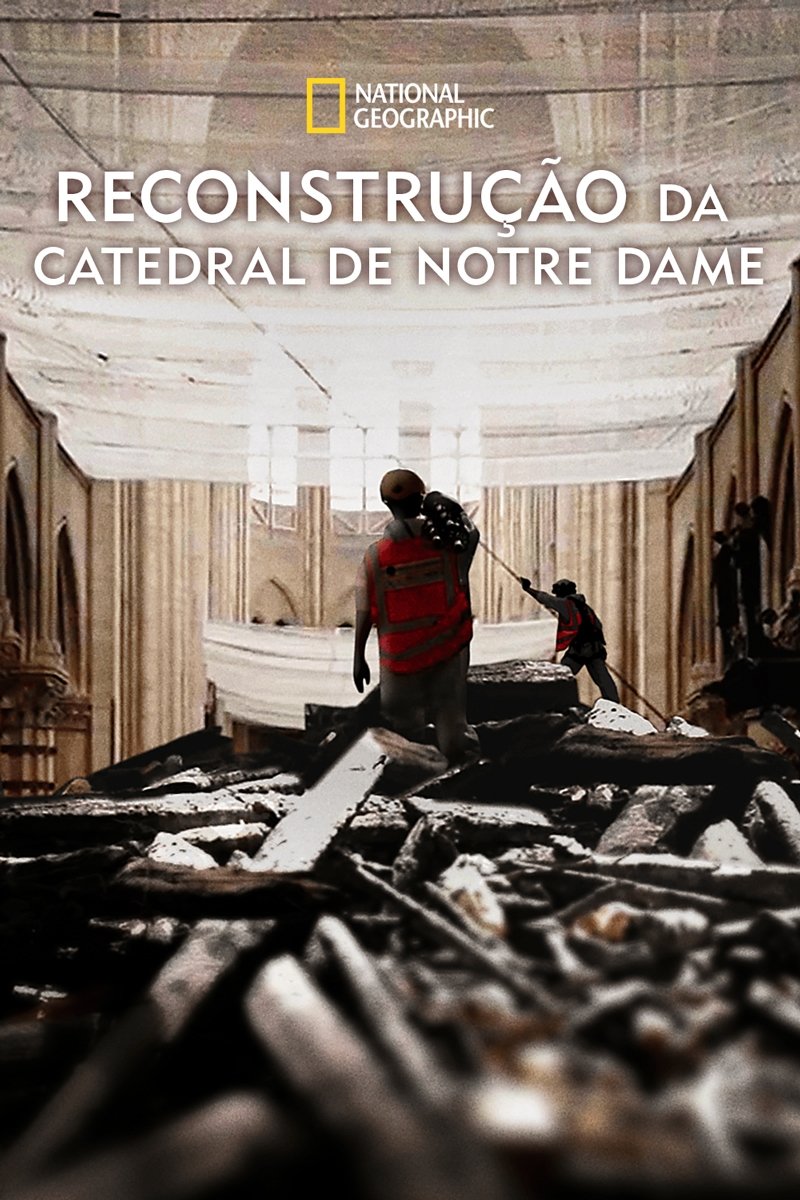 Poster de Reconstrução da Catedral de Notre Dame