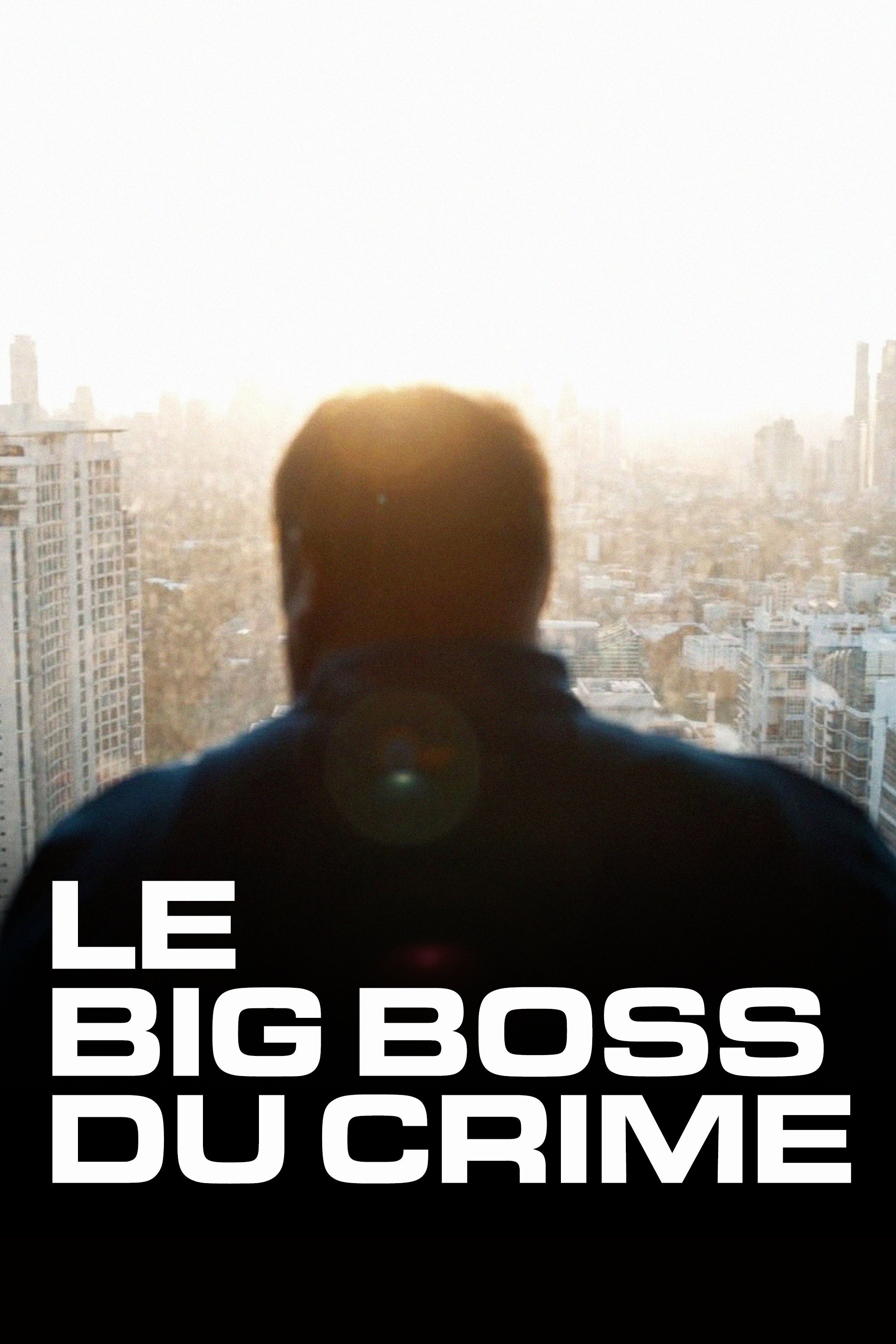 Poster de The Big Boss: A 21st Century Criminal