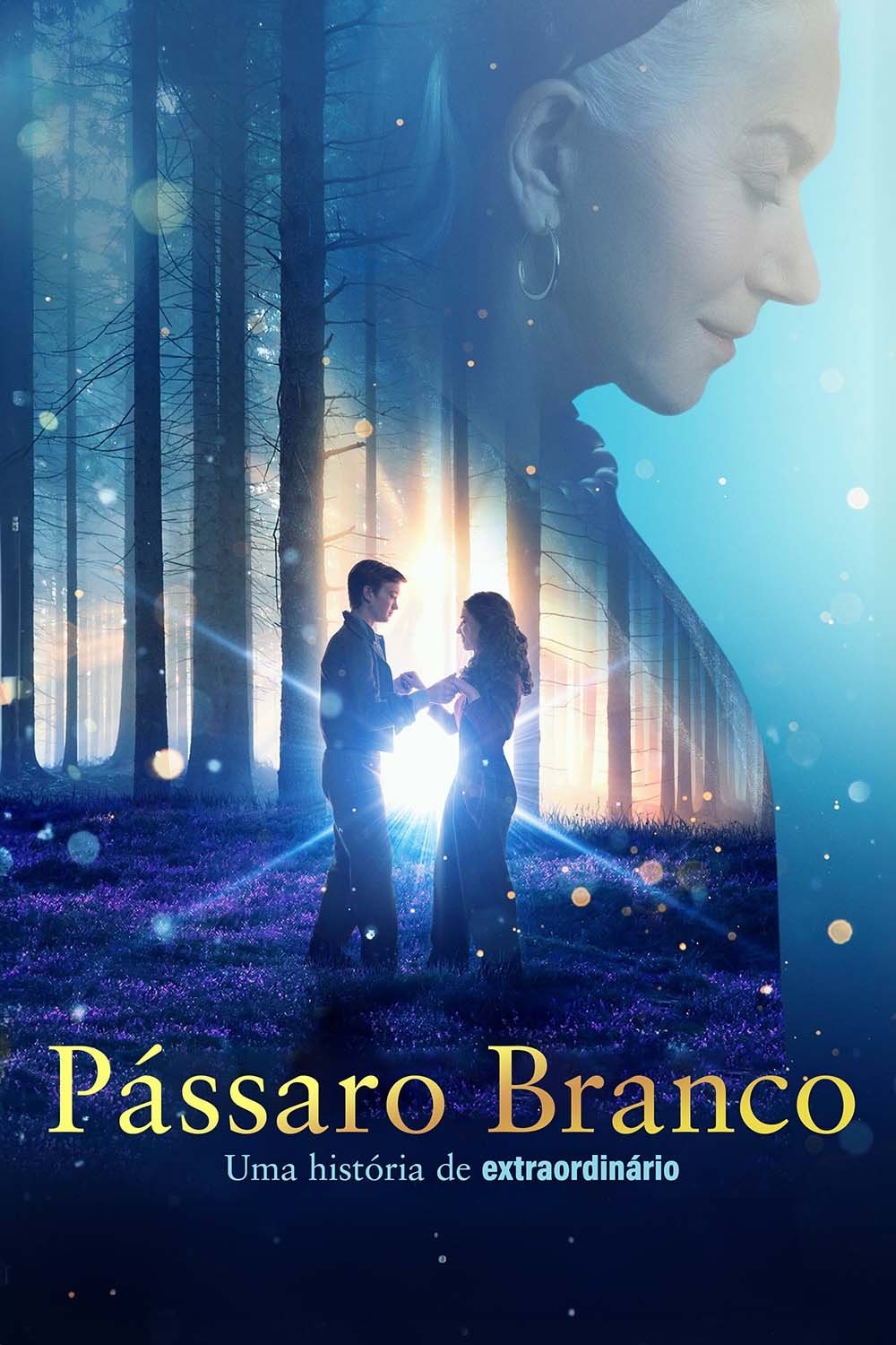 Poster de Pássaro Branco: Uma História de Extraordinário