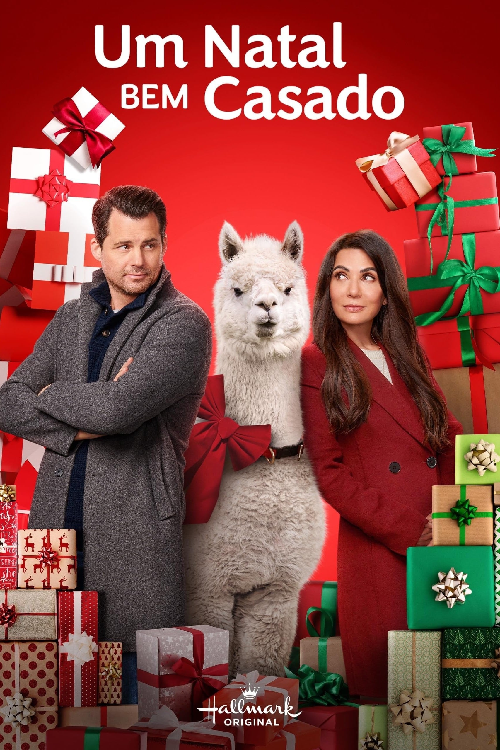 Poster de Um Natal Bem Casado