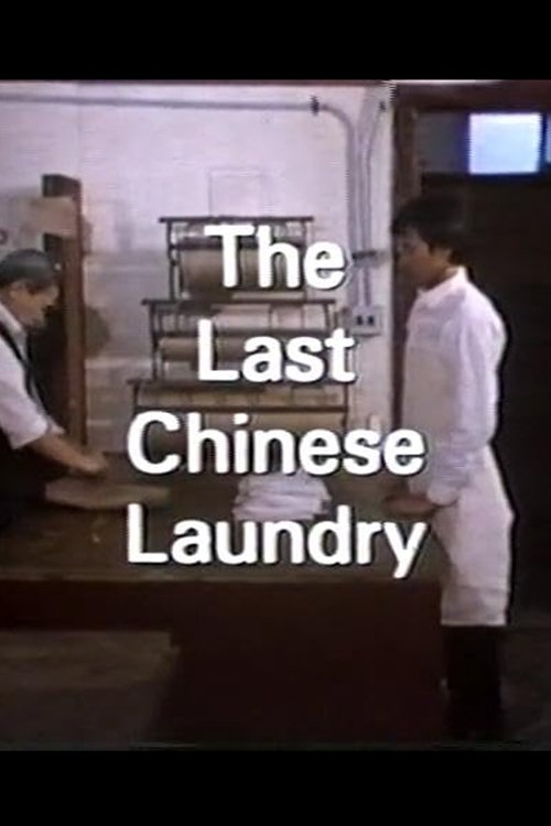 Poster de The Last Chinese Laundry