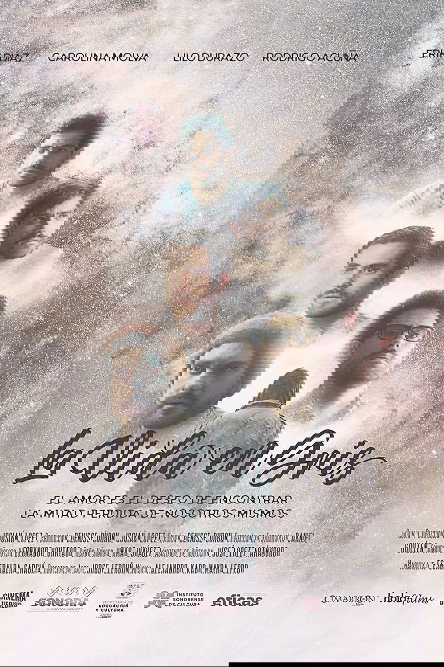 Poster de La vida en gris