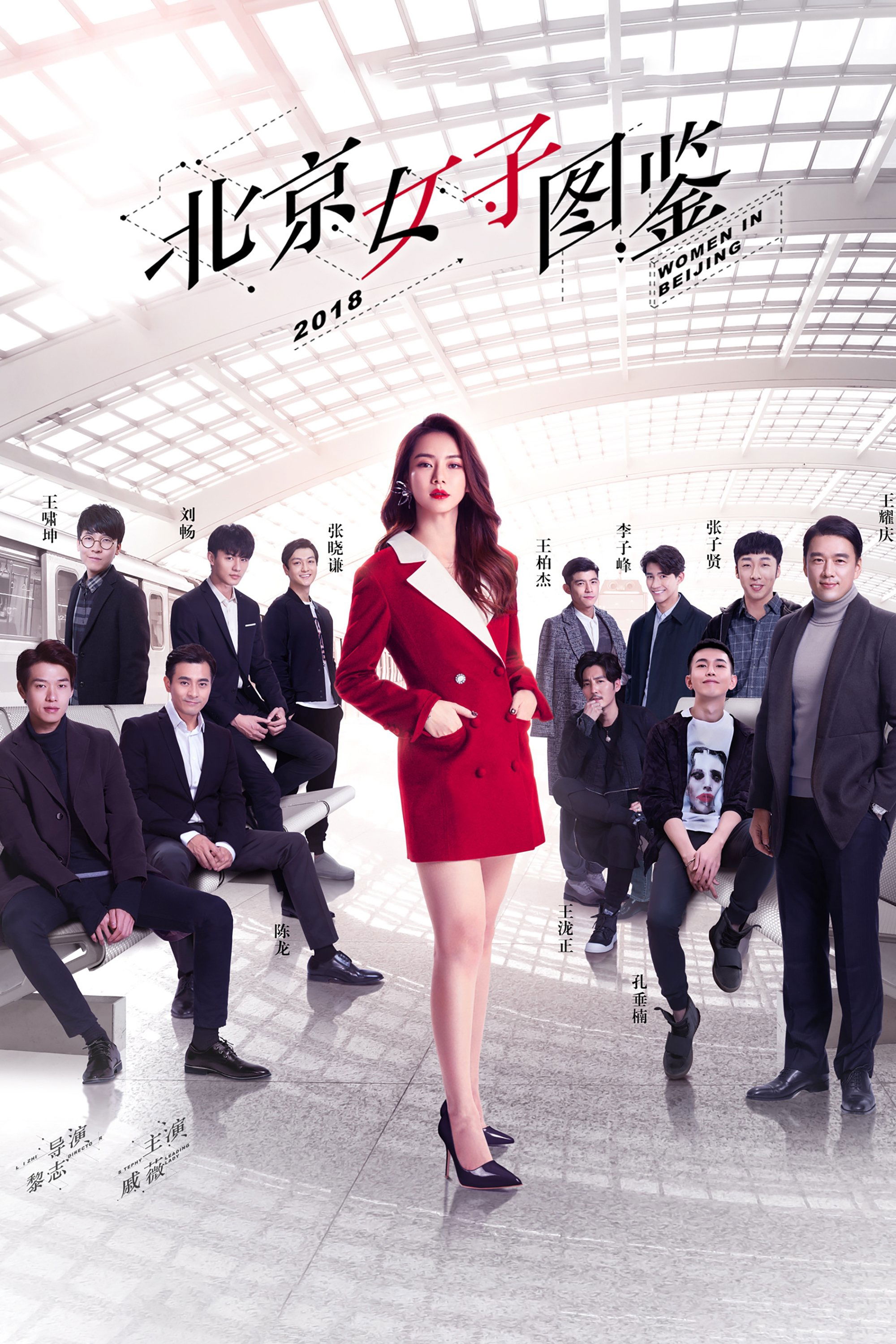 Poster de 北京女子图鉴
