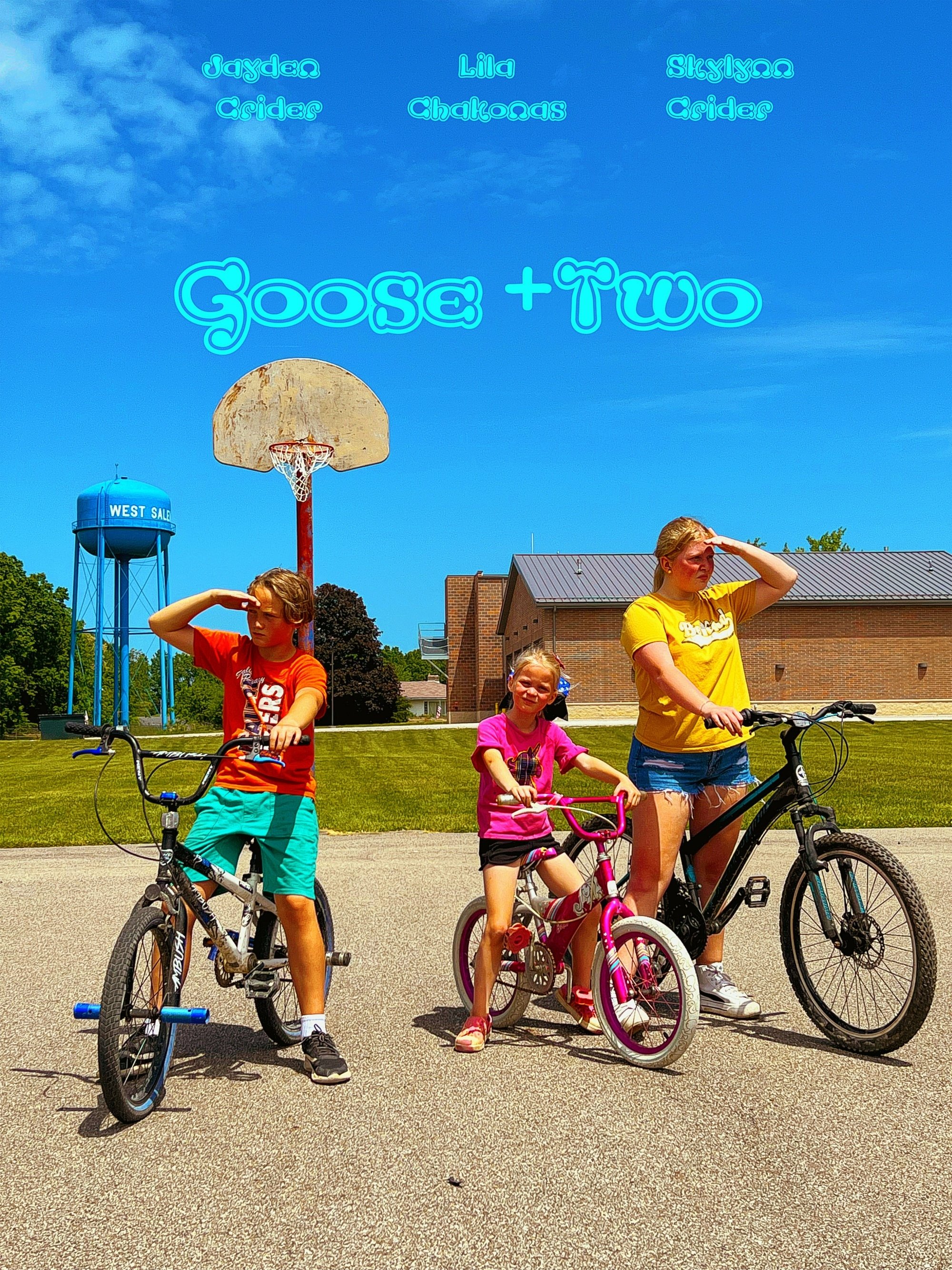 Poster de Goose + 2