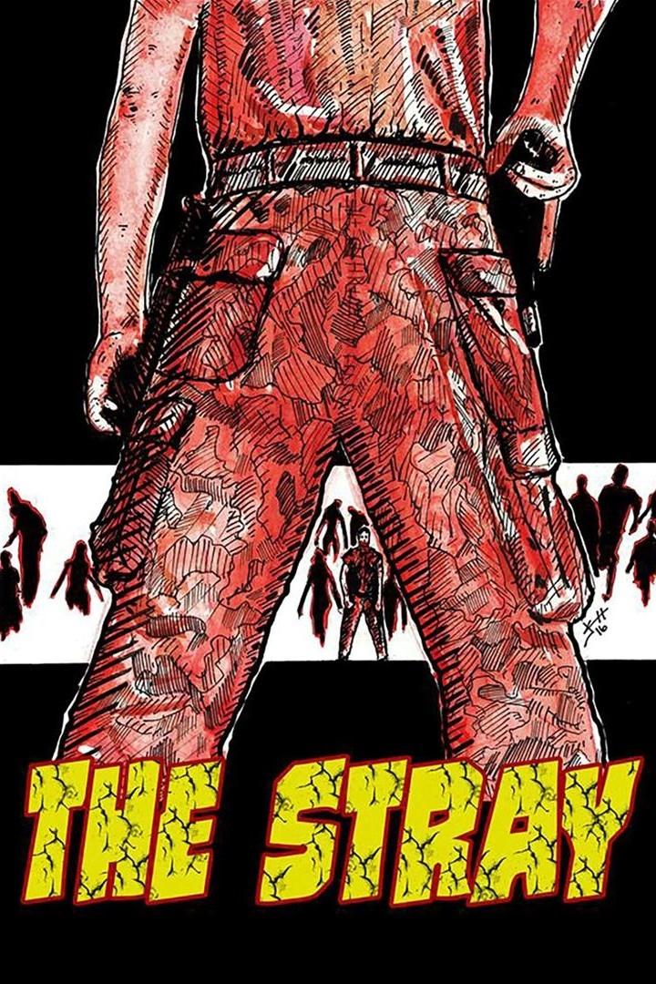 Poster de The Stray