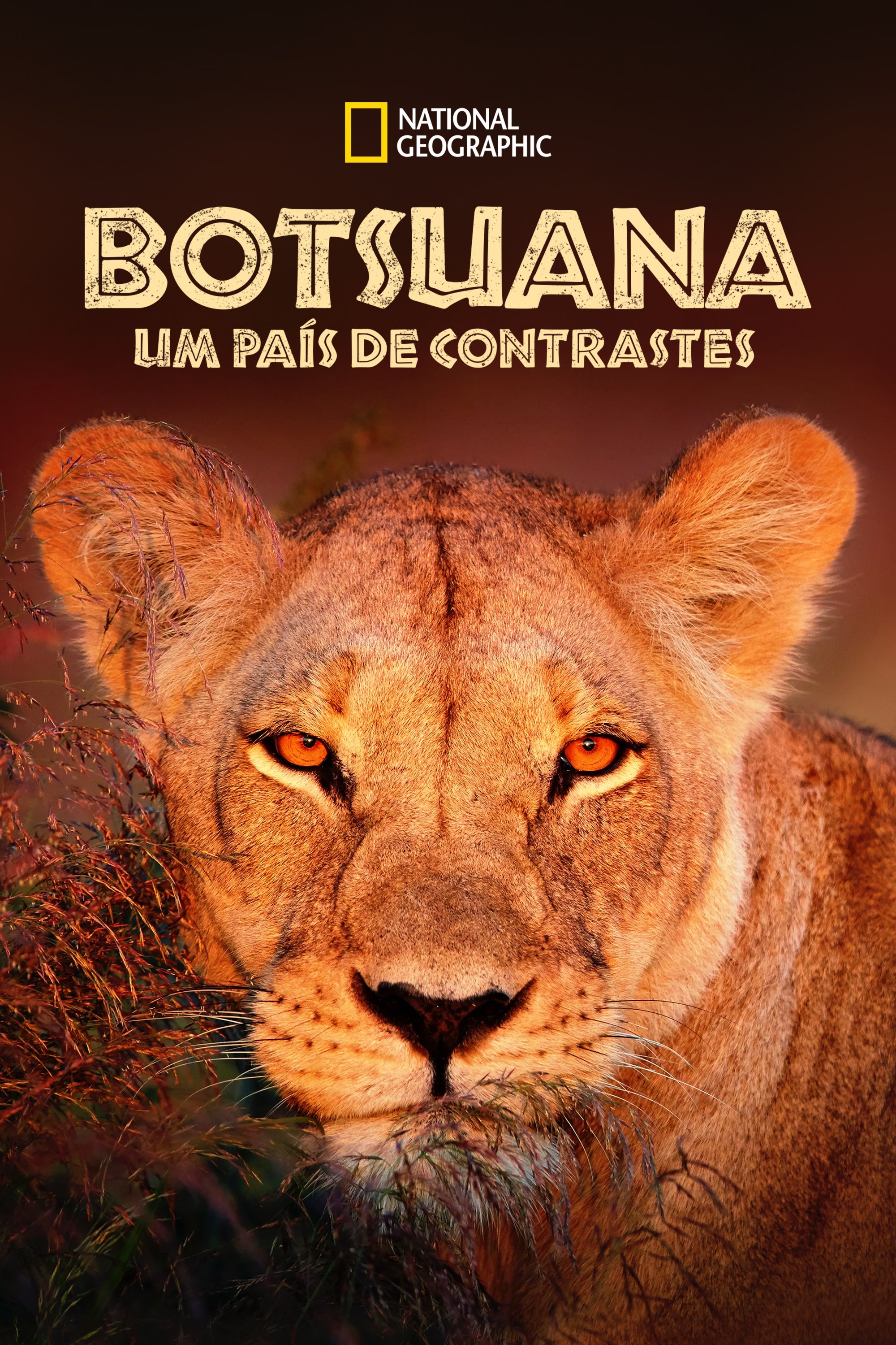 Poster de Botsuana: Um País de Contrastes