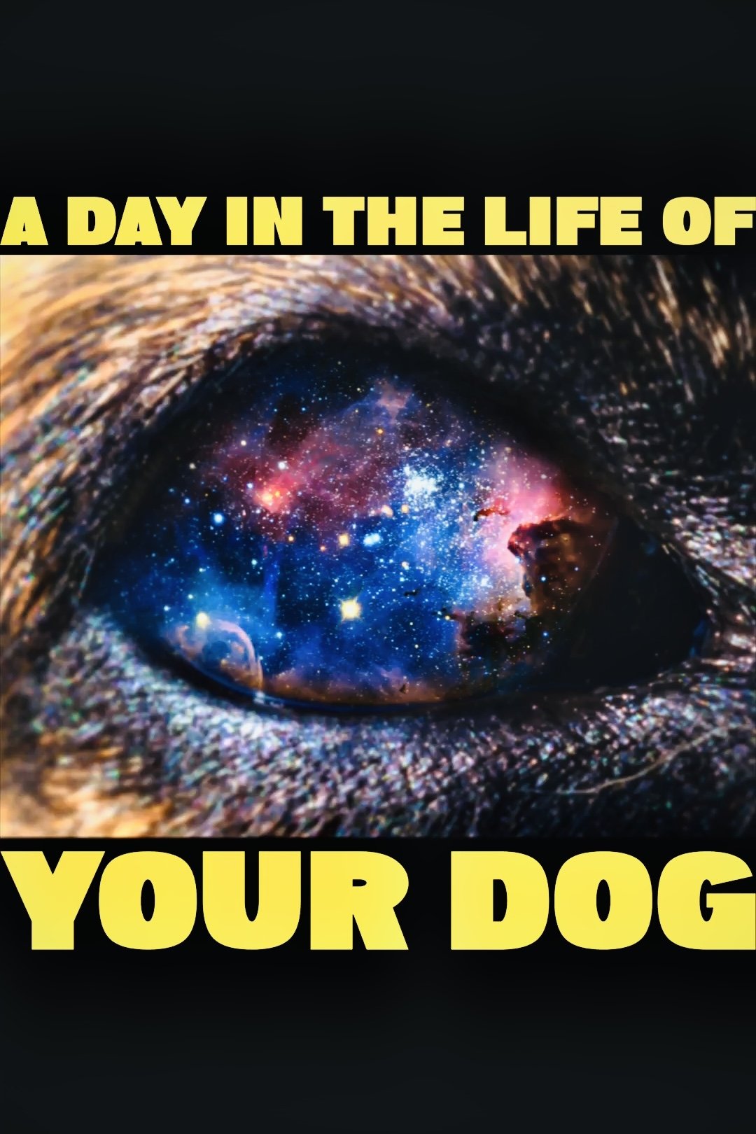 https://image.tmdb.org/t/p/original//krFOu90yskRL8BZAKn3Diu15Zdi.jpg