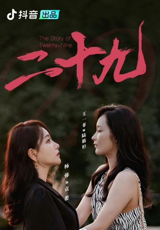 Poster de 二十九