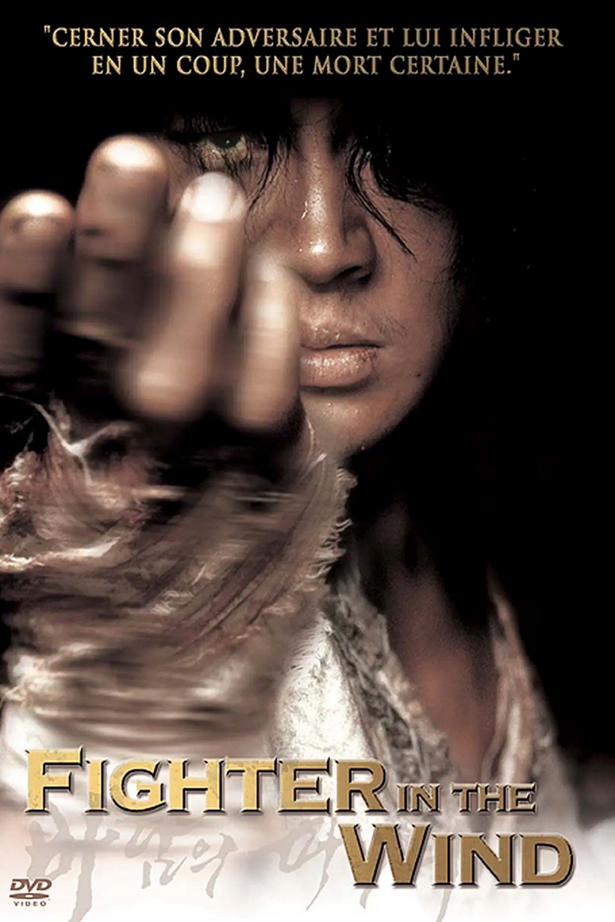Affiche du film 바람의 파이터