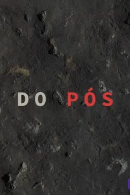 Poster de Narrativas do Pós