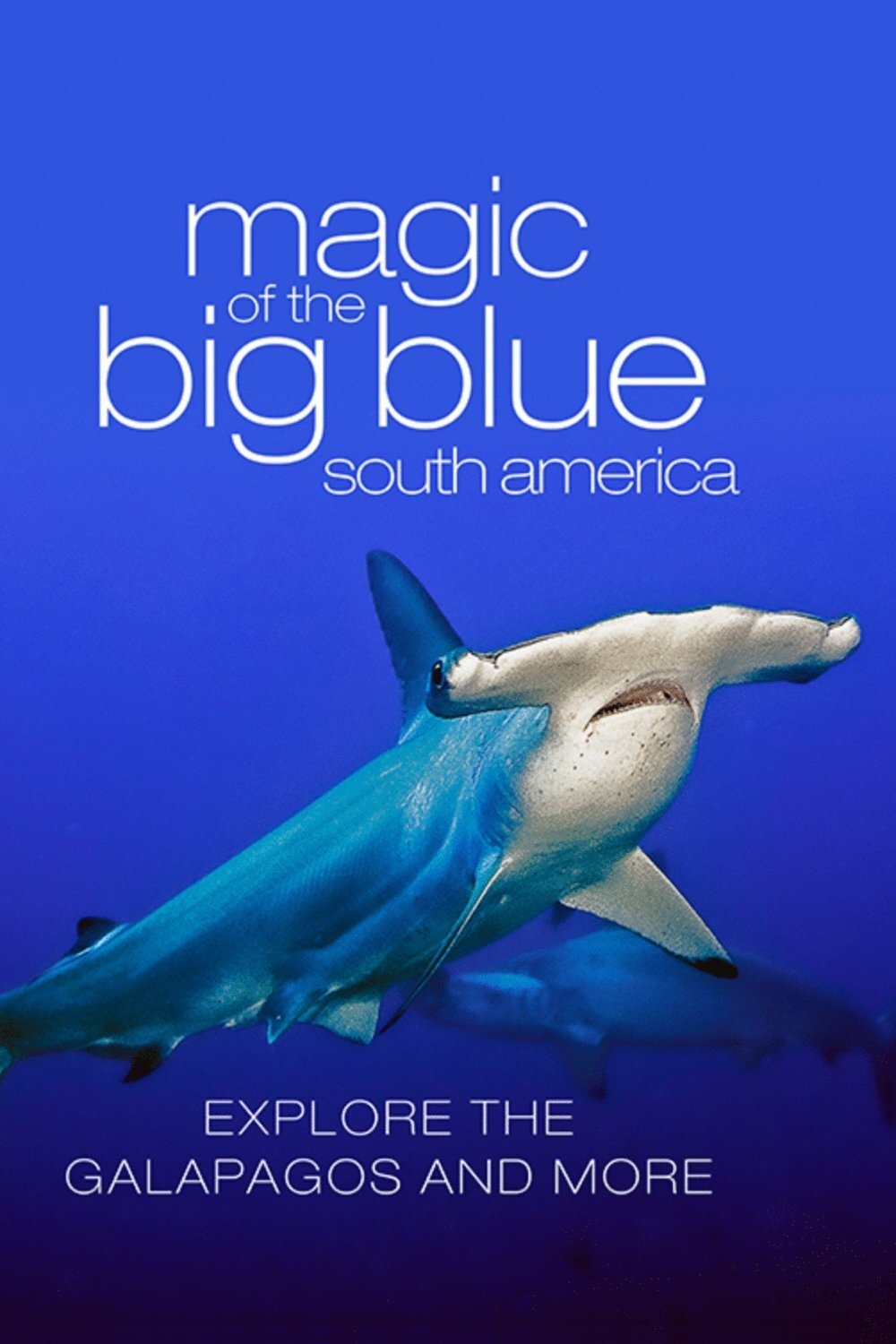Poster de The Magic of the Big Blue. Seven Continents