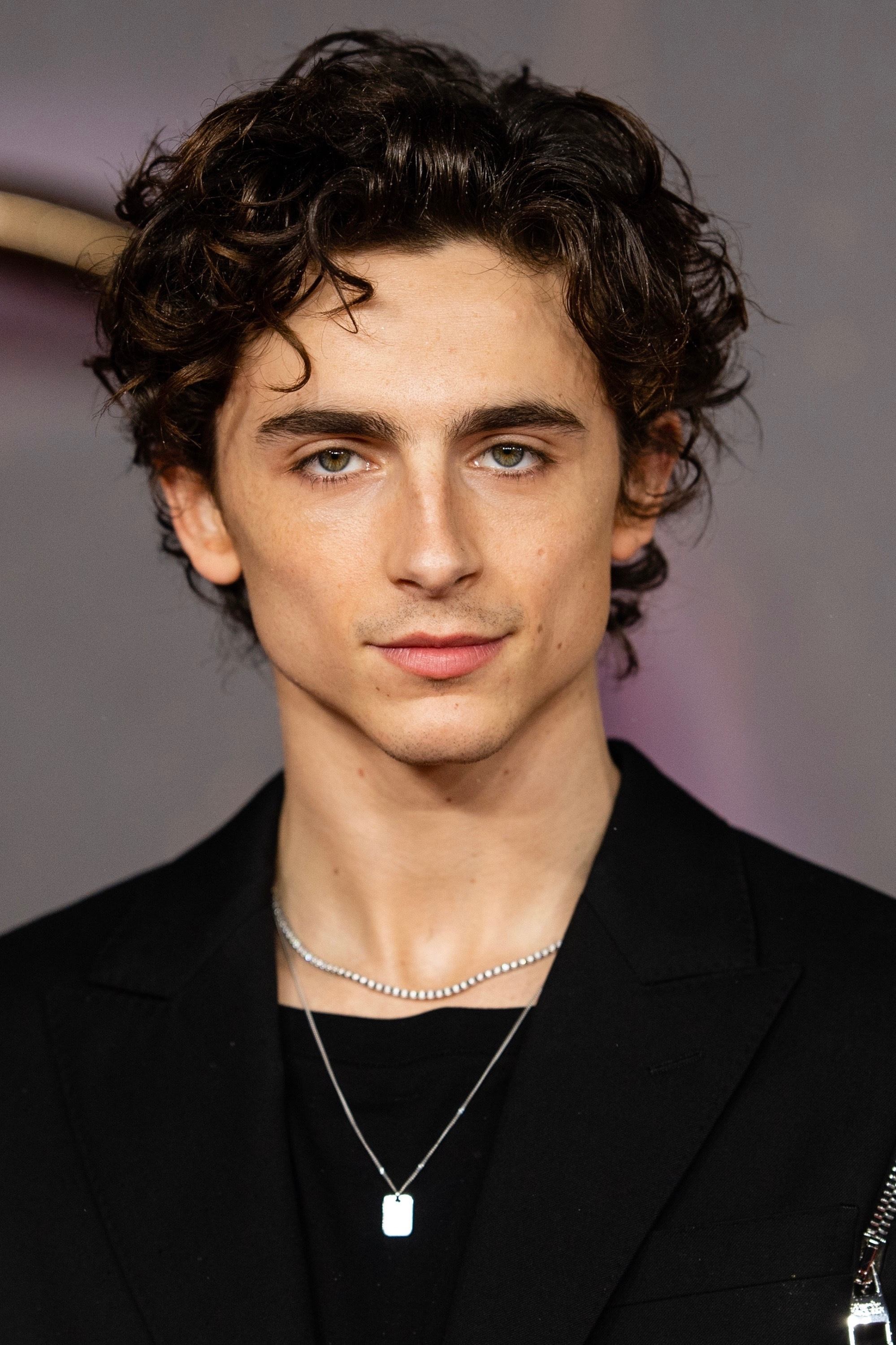 Foto de Timothée Chalamet
