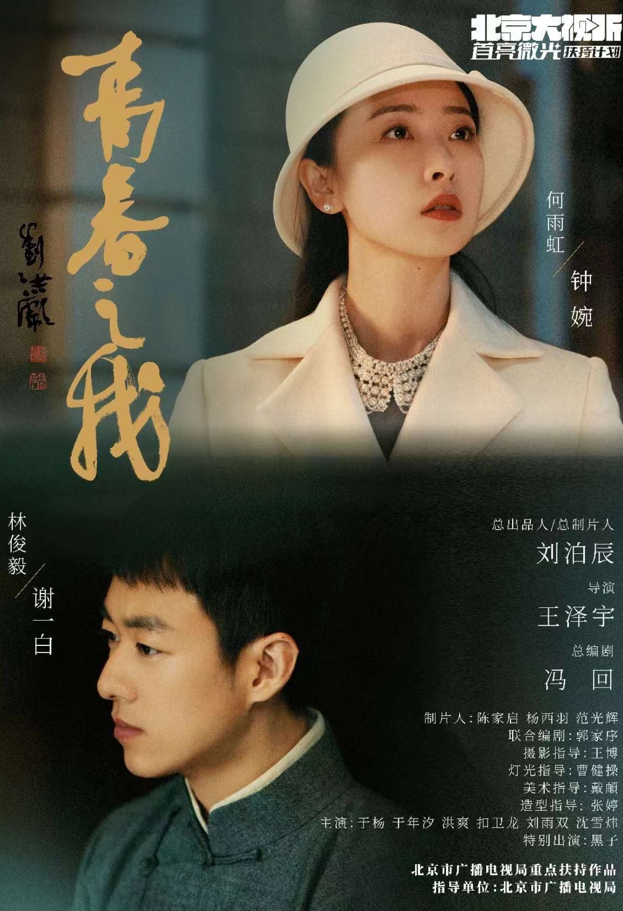 Poster de 青春之我