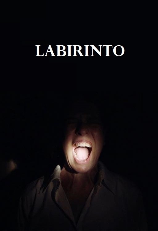 Poster de Labirinto